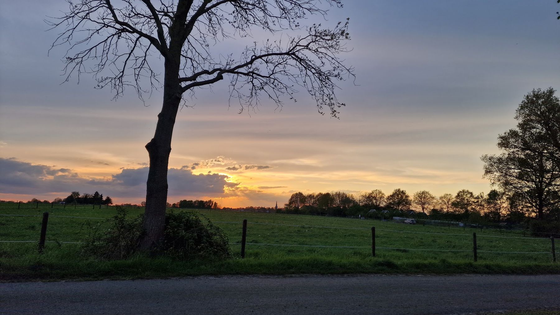 Zonsondergang boven een weiland met een kale boom en een hek, in de verte een kerktoren